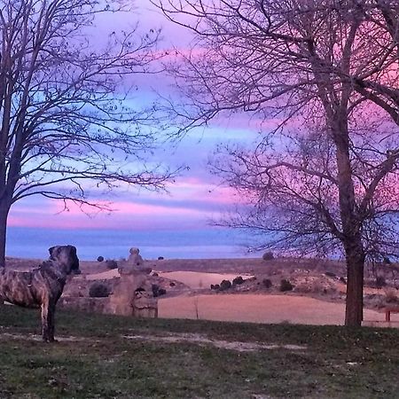Apartamento Ribera Del Duero Reserva Tubilla del Lago Bagian luar foto