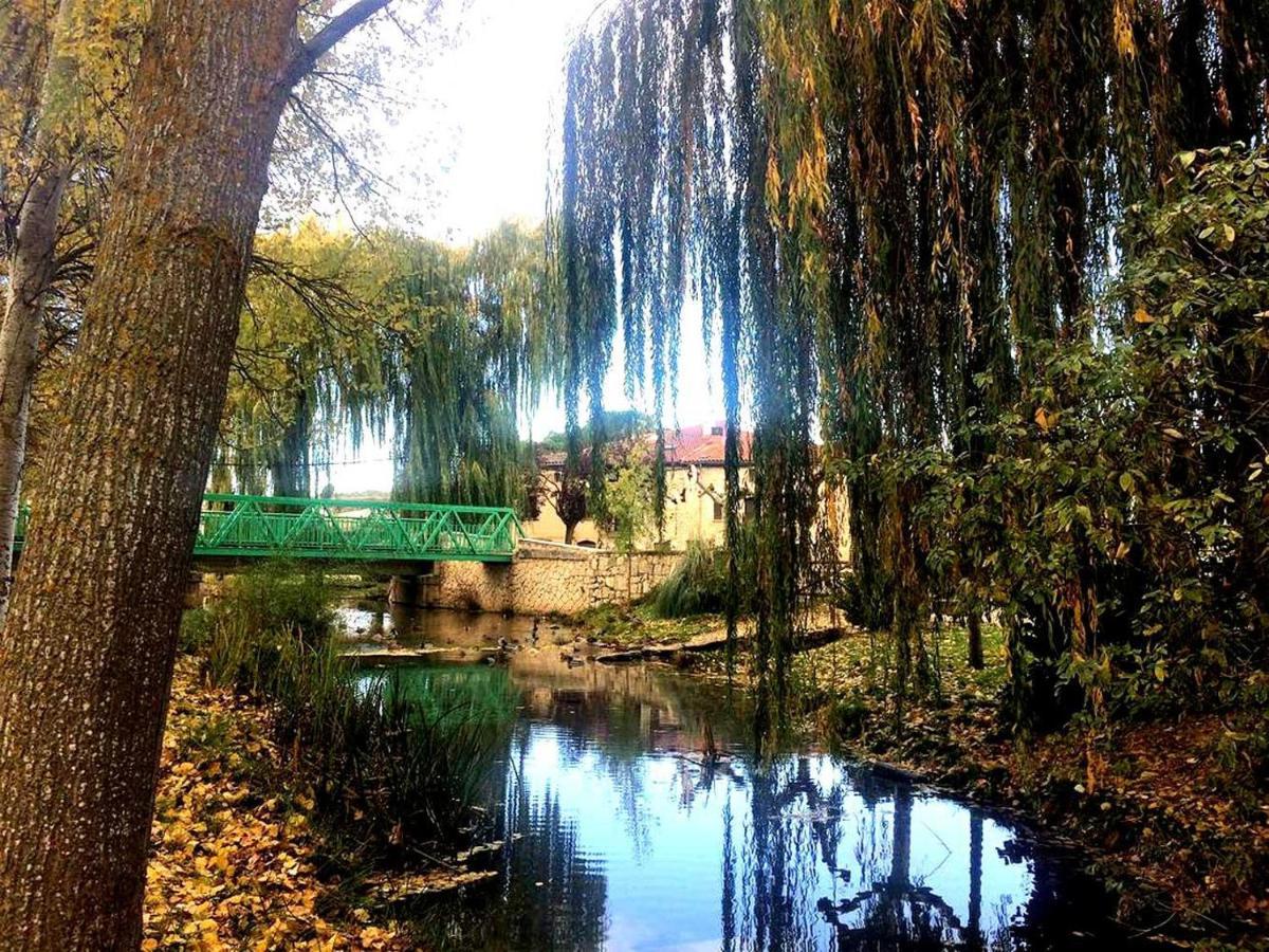 Apartamento Ribera Del Duero Reserva Tubilla del Lago Bagian luar foto