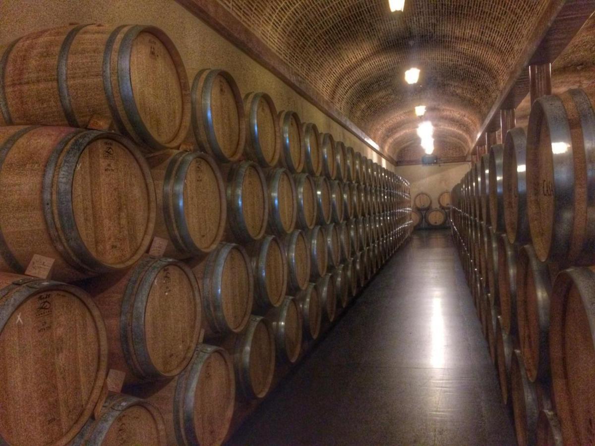 Apartamento Ribera Del Duero Reserva Tubilla del Lago Bagian luar foto