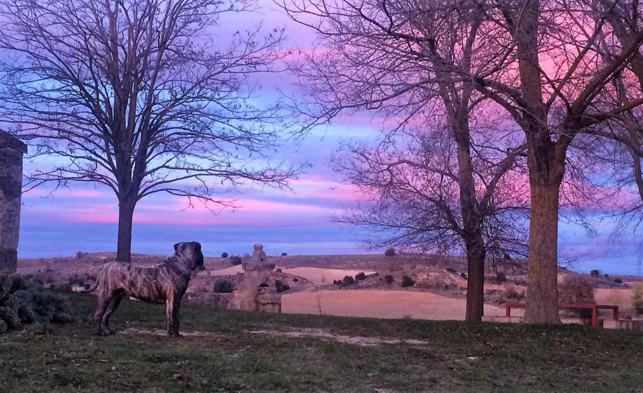 Apartamento Ribera Del Duero Reserva Tubilla del Lago Bagian luar foto