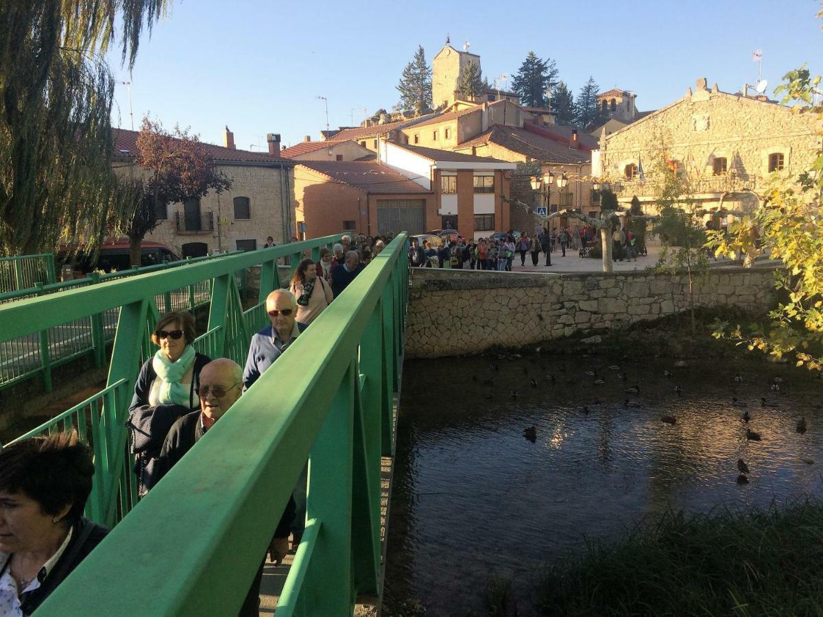 Apartamento Ribera Del Duero Reserva Tubilla del Lago Bagian luar foto